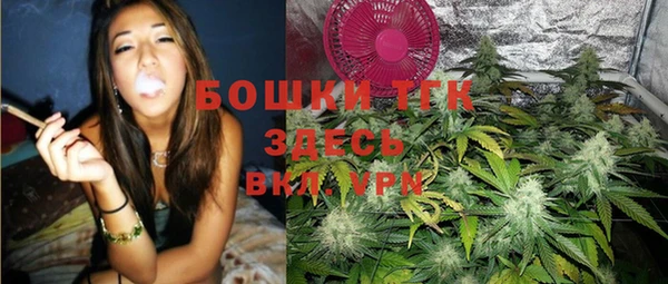 соль ск Алзамай