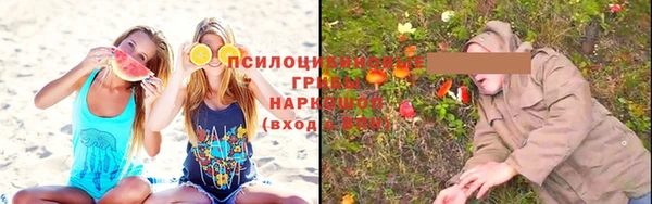 спайс Алексеевка