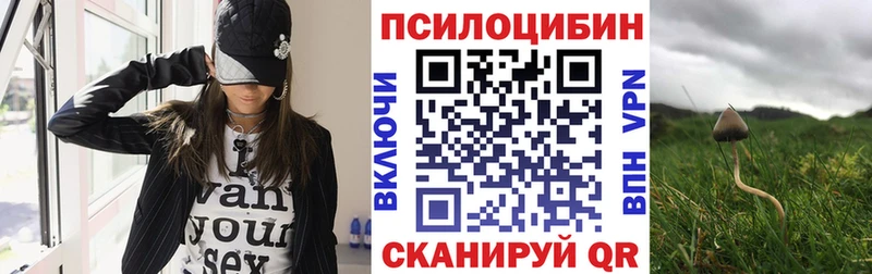 дарк нет состав  купить наркоту  Ликино-Дулёво  Галлюциногенные грибы Psilocybe 